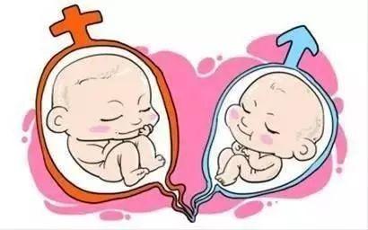 同志借卵代怀咨询哪家好